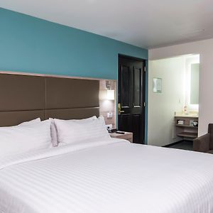 Suite Lit Queen-Size